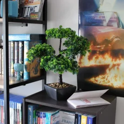 Bonsaï artificiel en pot 37 cm modèle aléatoire