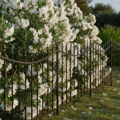 Bordure de jardin156 x 2.2 x 117 cm (Classique)
