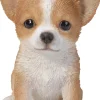Chiot chihuahua assis en résine 16 cm
