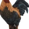 Coq debout en résine 24 cm