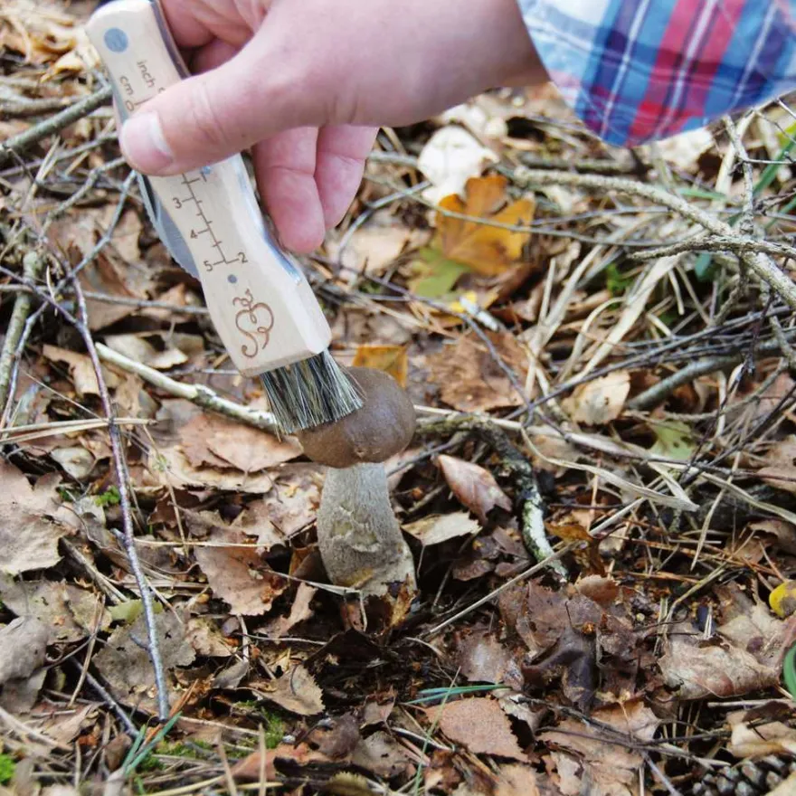Couteau à champignons en acier inoxydable avec brosse