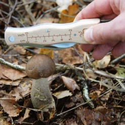 Couteau à champignons en acier inoxydable avec brosse