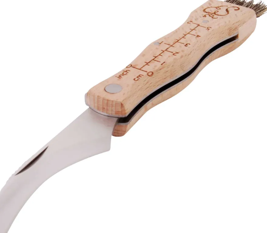 Couteau à champignons en acier inoxydable avec brosse