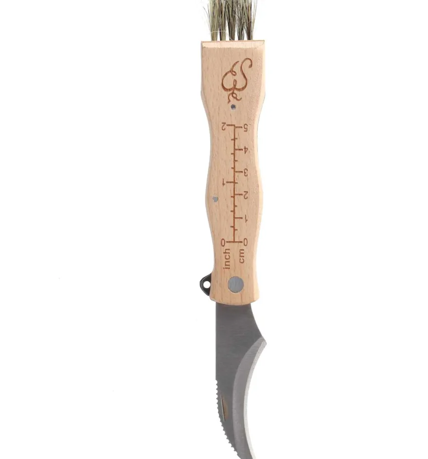 Couteau à champignons en acier inoxydable avec brosse