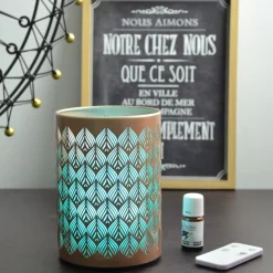 Diffuseur d'huiles essentielles ultrasonique Vienne