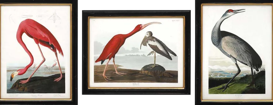 Ensemble de 3 cadres Oiseaux