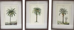 Ensemble de 3 cadres 30 x 40 cm Palmiers