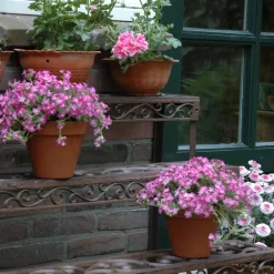 Etagère à plantes en métal patiné Arabesque