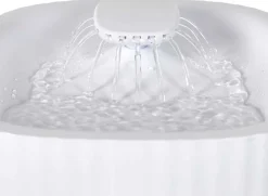 Fontaine à eau pour chat