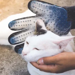 Gant magique anti-poils animaux (Bleu)