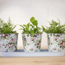 Jardinière 3 pots Roses