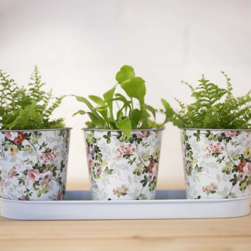 Jardinière 3 pots Roses