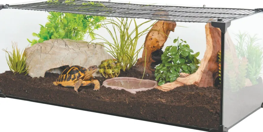 Kit terrarium tortue terrestre Karapas Pro