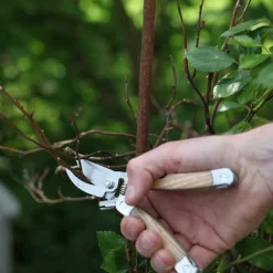 Multi-outils en acier inoxydable et bois de frêne