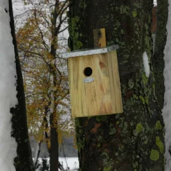 Nichoir mésange bois et zinc