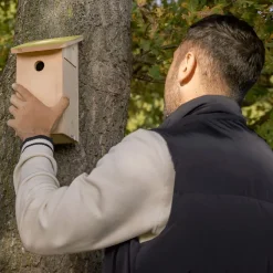 Nichoir pour mésange bleue en pin pochoir