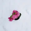 Orchidée artificielle pot en céramique 30 cm (Fuschia)