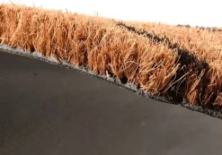 Paillasson animal en fibres de coco revers antidérapant (Hérisson)