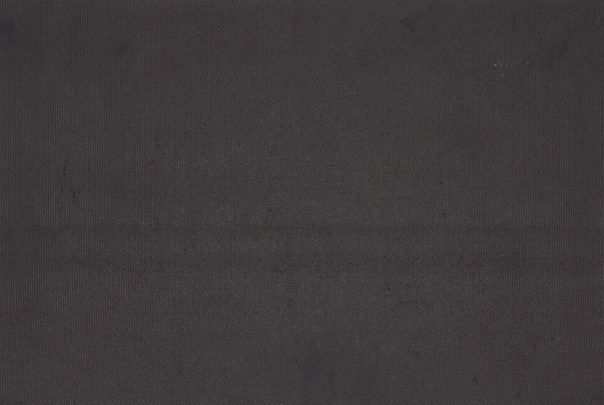 Paillasson en coco et PVC 60 x 40 cm (Arrosoir)