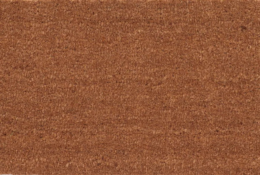 Paillasson en coco et PVC 60 x 40 cm (Uni)
