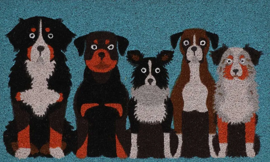 Paillasson en fibres de coco Pets (Chiens)