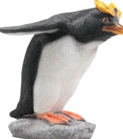 Pingouin huppé en résine (Plonge)