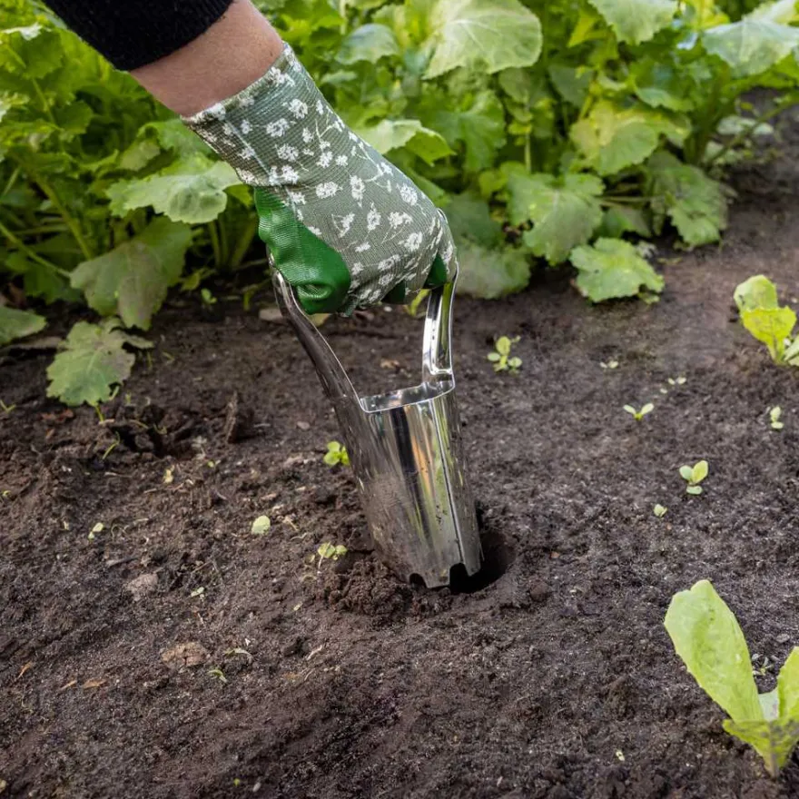 Planteur à bulbes en acier inoxydable et bois de frêne