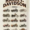 Plaque décorative en métal en relief 40 x 30 cm (Harley Davidson - Model Chart)