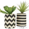 Succulentes dans pot en toile de jute 26 cm (Lot de 2)