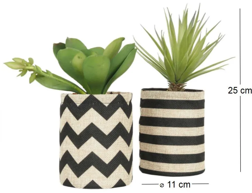 Succulentes dans pot en toile de jute 26 cm (Lot de 2)