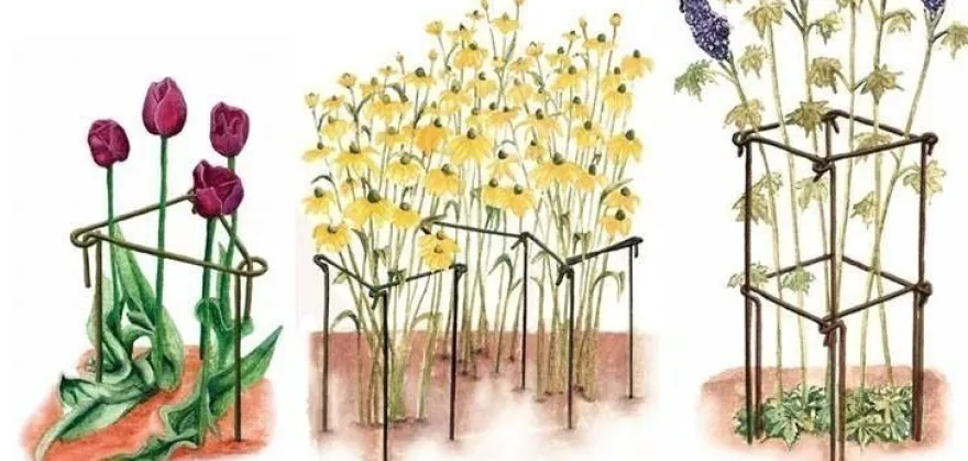 Support à plantes en acier (Lot de 6) (60 cm)