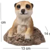 Suricate sortant de terre en résine