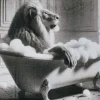 Tapis de bain en polyester Animal 45 x 75 cm (Lion)