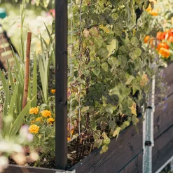 Treillis pour carré potager Gardenbox