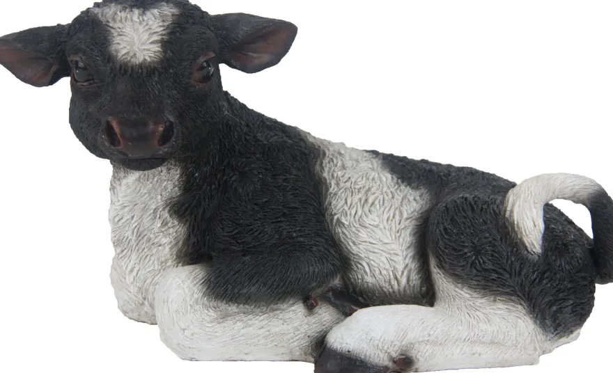 Veau noir et blanc couché en résine (Petit modèle)