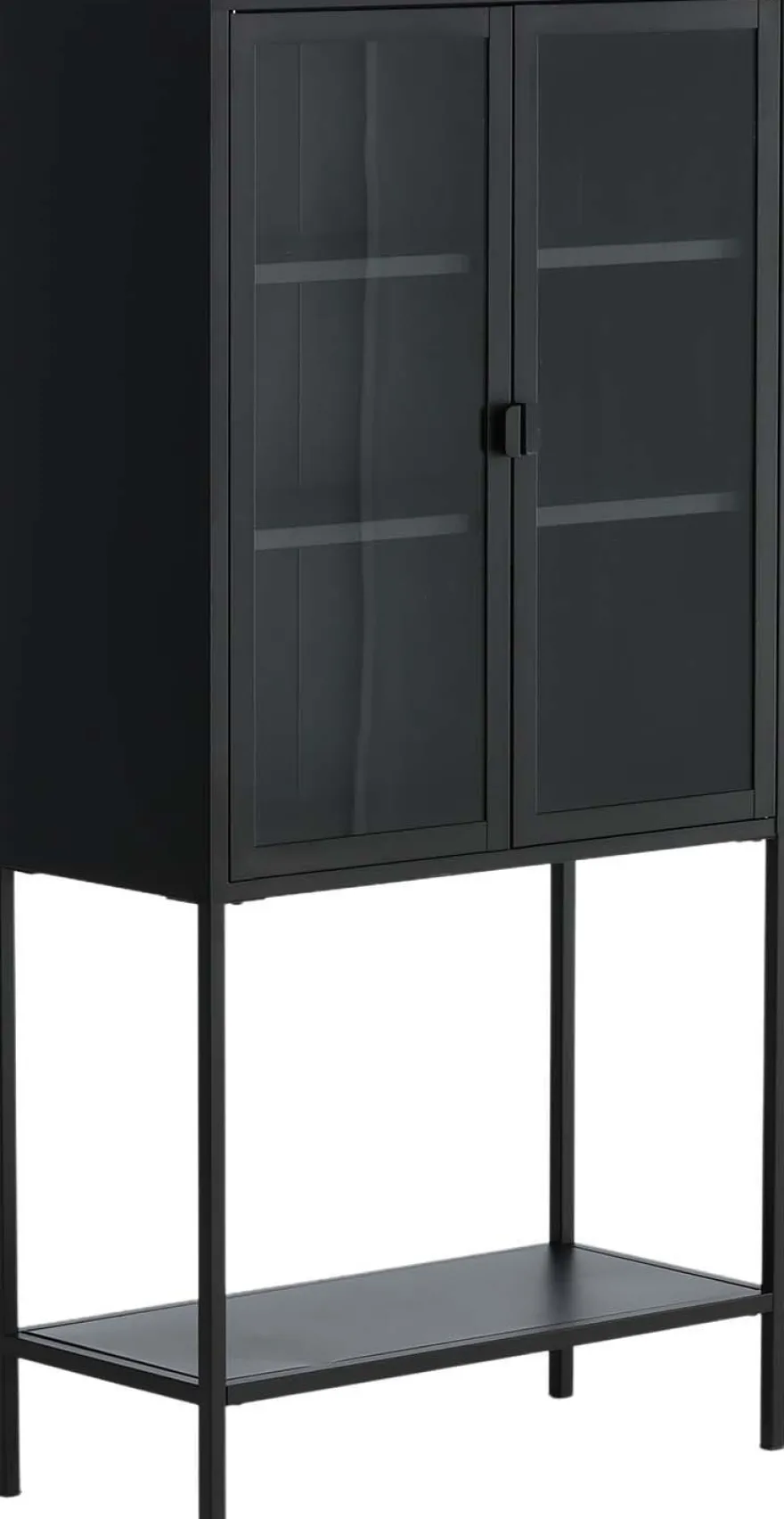 Vitrine en acier 2 portes Misha (Noir)