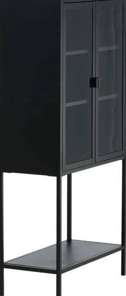 Vitrine en acier 2 portes Misha (Noir)